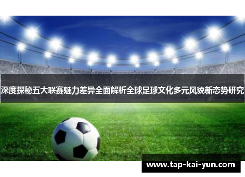 深度探秘五大联赛魅力差异全面解析全球足球文化多元风貌新态势研究