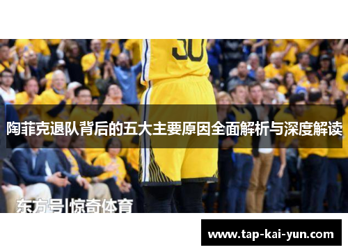 陶菲克退队背后的五大主要原因全面解析与深度解读 陶菲克退队背后的五大主要原因全面解析与深度解读