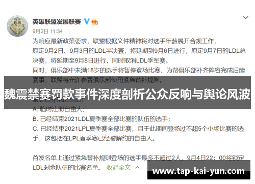 魏震禁赛罚款事件深度剖析公众反响与舆论风波