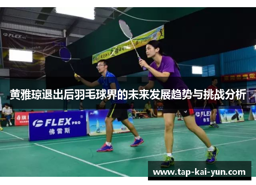 黄雅琼退出后羽毛球界的未来发展趋势与挑战分析